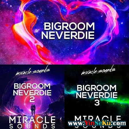 Miracle Sounds Bigroom Neverdie Bundle WAV MiDi FXP
