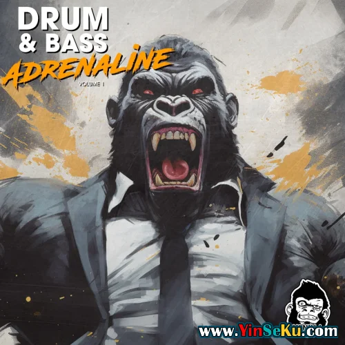 Vanilla Groove Studios Drum And Bass Adrenaline Vol 1 WAV