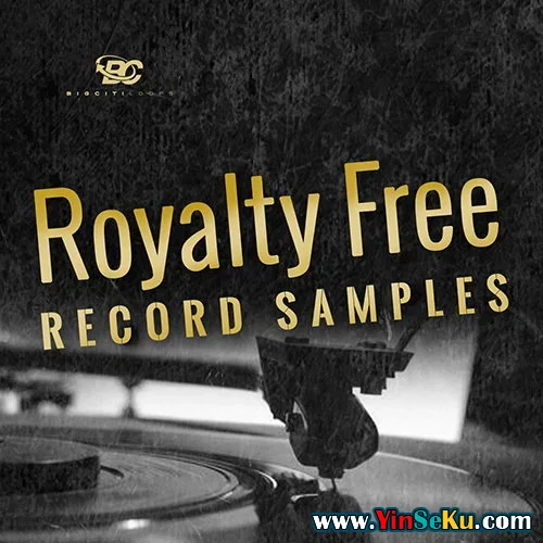 Big Citi Loops Royalty-Free Record Samples WAV REX