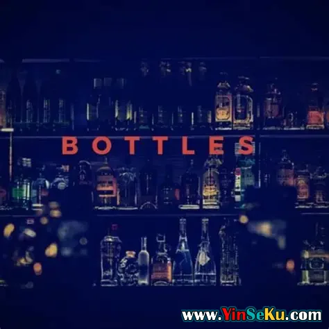 Loops 4 Producers Bottles WAV MiDi