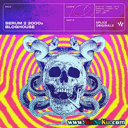 Splice Originals Serum 2 2000s Bloghouse (Full Original Release) WAV Serum 2 Presets