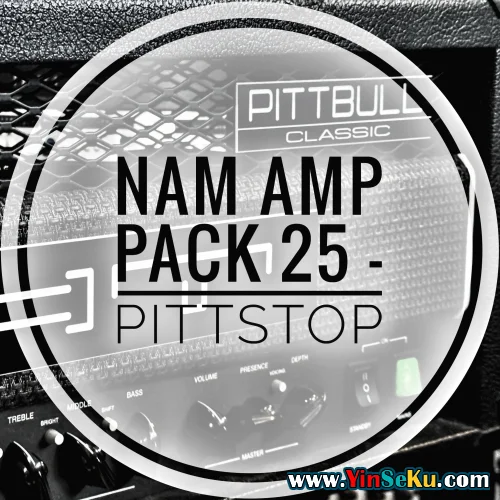 mirrorprofiles NAM A2 Amp Pack 25 – PITTSTOP