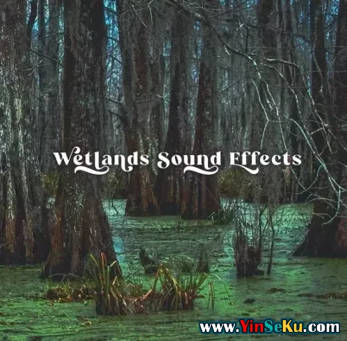 Close to Nature Music Ensemble Wetlands Sound Effects FLAC