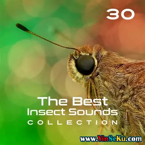 Close To Nature Music Ensemble 30 The Best Insect Sounds Collection Fly with Creature, Sound Effects, Magic Library FLAC
