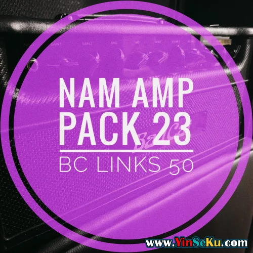 mirrorprofiles NAM A2 Amp Pack 23 – BC LINKS 50