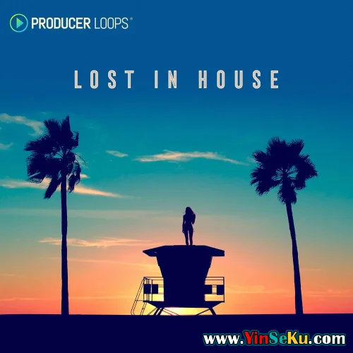Producer Loops Lost In House for Serum WAV Noise Samples Wavetables Serum Presets