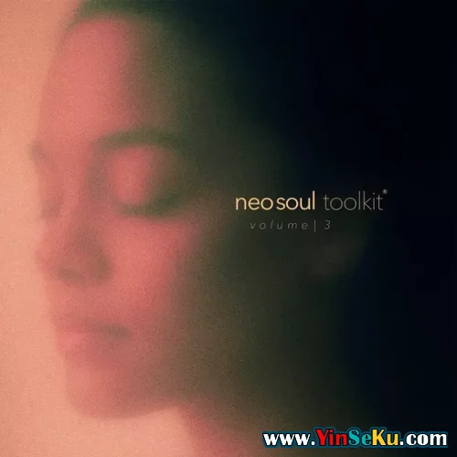 Dionso and Xandros Neo-Soul Toolkit Vol.3 WAV