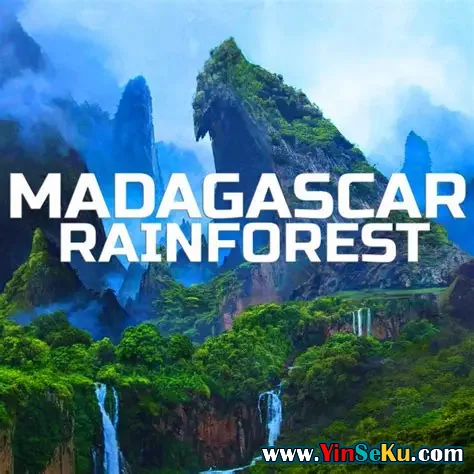 Madagascar Soundscapes Madagascar Rainforest FLAC
